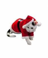 Kerstkleding voor hond of kat