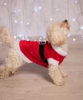 Kerstman kleding voor de hond